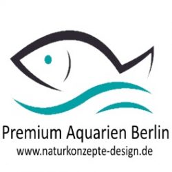 Aquariumbau Berlin